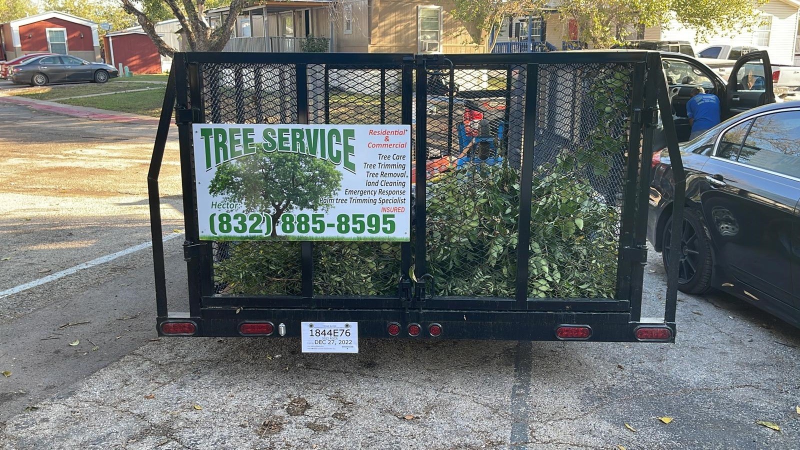 Hector Tree Services Image